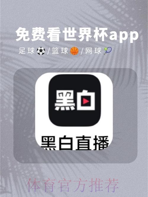 官方正版下载：世界杯直播助手